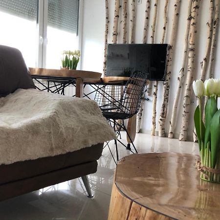 Artistic Luxury Apartment Скопие Екстериор снимка